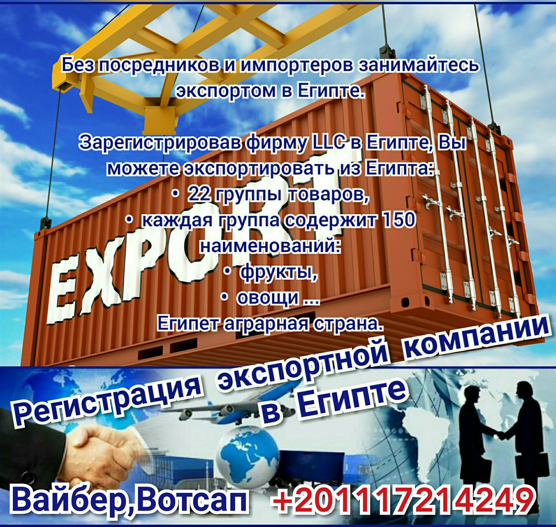 Компания Экспорт в Египте 